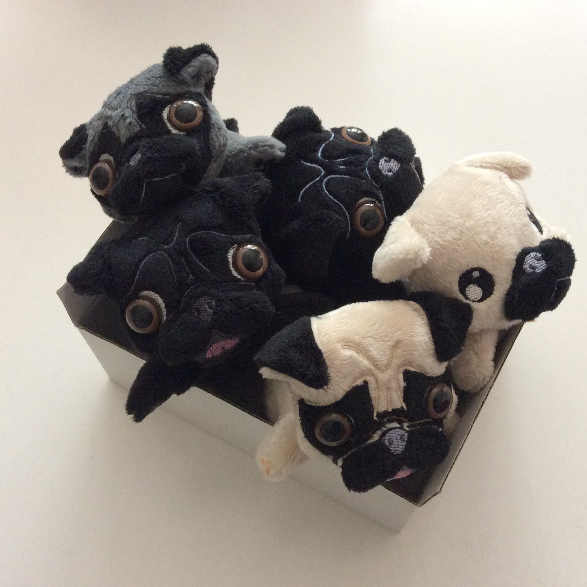 SO MANY PUGS