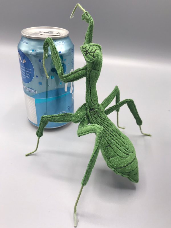 The Carolina Mantis, with the seltzer can for scale. Reared up, it's as tall as the can.