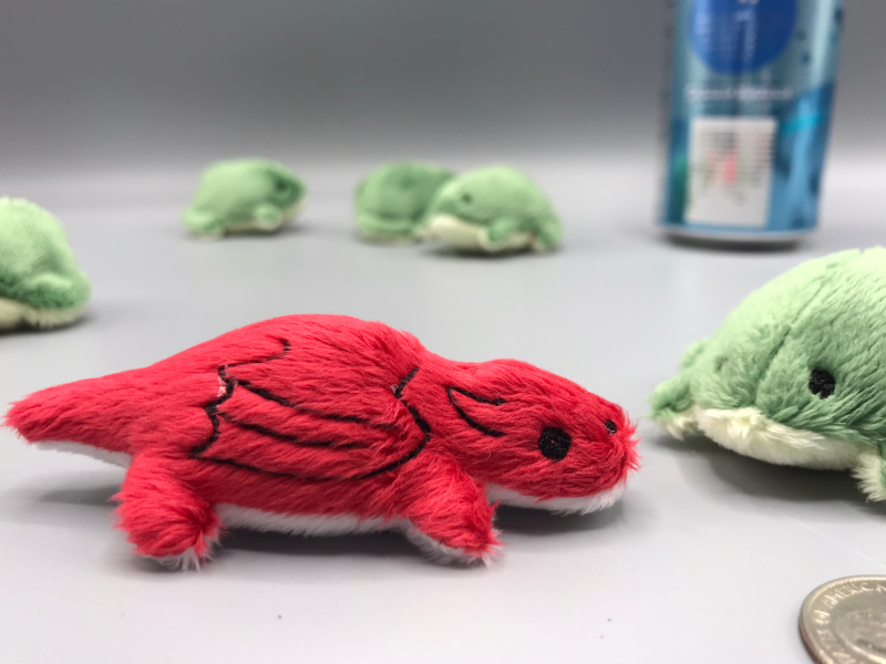 A tiny plush dragon design that clearly has frog DNA