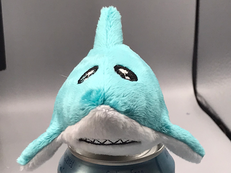 Shark with extremely close-set eyes