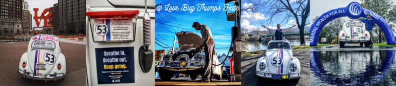 Photos from the Love Bug Trumps Hate Instagram