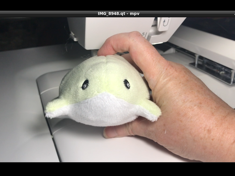 A still from a QuickTime video, showing a plush frog on my embroidery machine