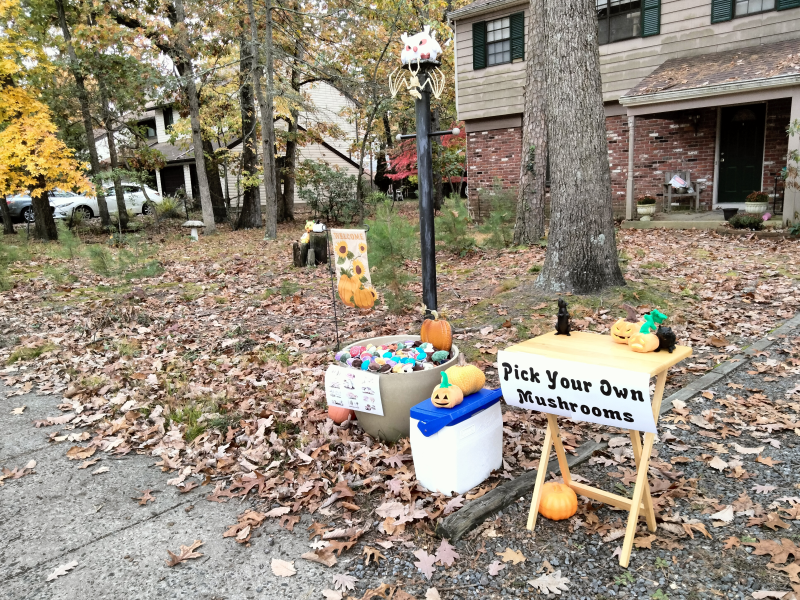 My yard with the Halloween setup