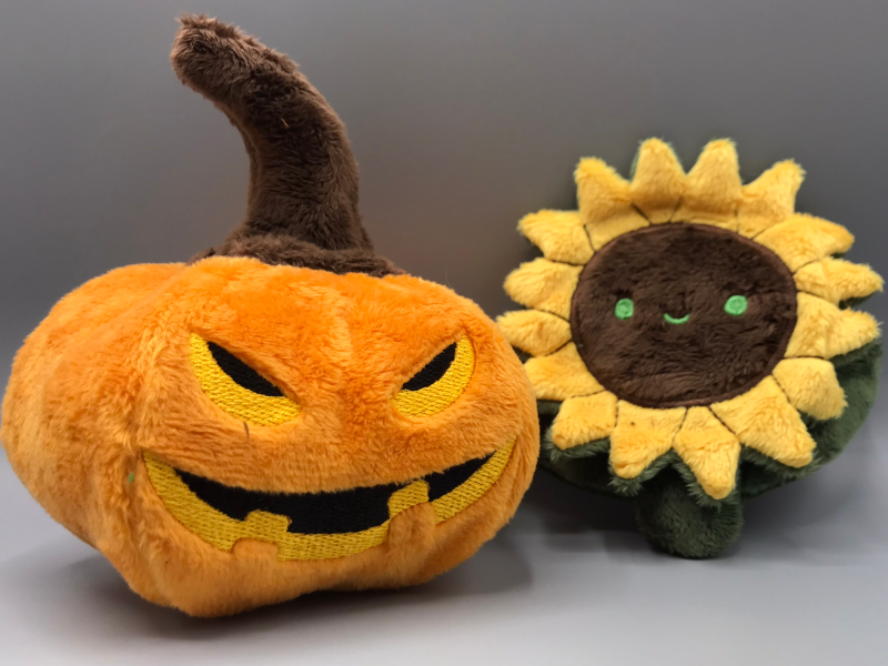 Pumpkin and sunflower