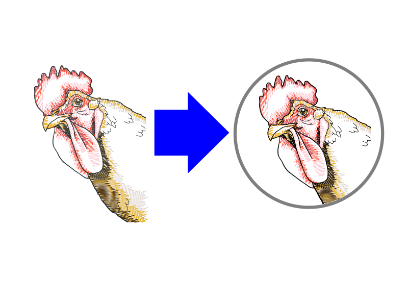 Conversion of a chicken design into a circular version