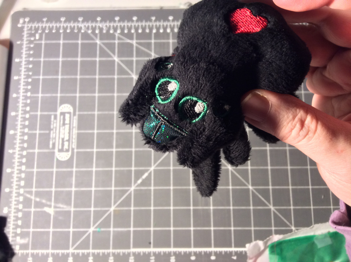 Plush Jumping Spider face