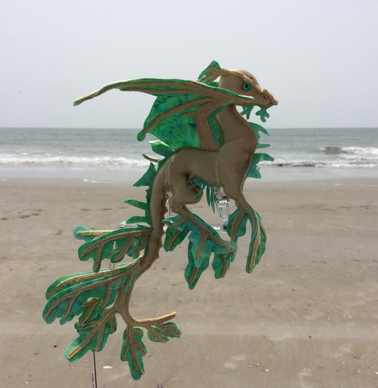 Standing Dragon #8 – Leafy Sea Dragon